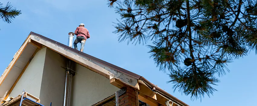 Birds Removal Contractors from Chimney in Hawthorne, CA